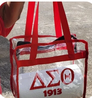 Clear cubed carryall stadium tote with red DST 1913 lettering